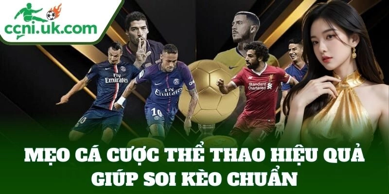 Mẹo Cá Cược Thể Thao Hiệu Quả giúp soi kèo chuẩn