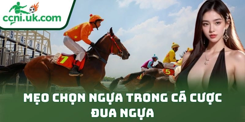 Mẹo Chọn Ngựa Trong Cá Cược Đua Ngựa