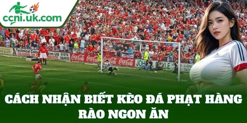 Cách nhận biết Kèo Đá Phạt Hàng Rào ngon ăn